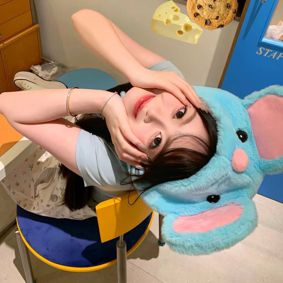 鸽之翼